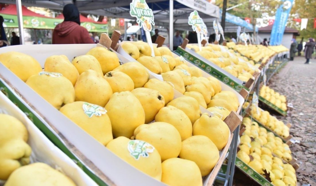 Kartepe Ayva Festivali yoğun yağışlar nedeniyle ertelendi 🔊 Haberi Sesli Dinle Hazır ▶ Dinle ⏸ Duraklat ⏹