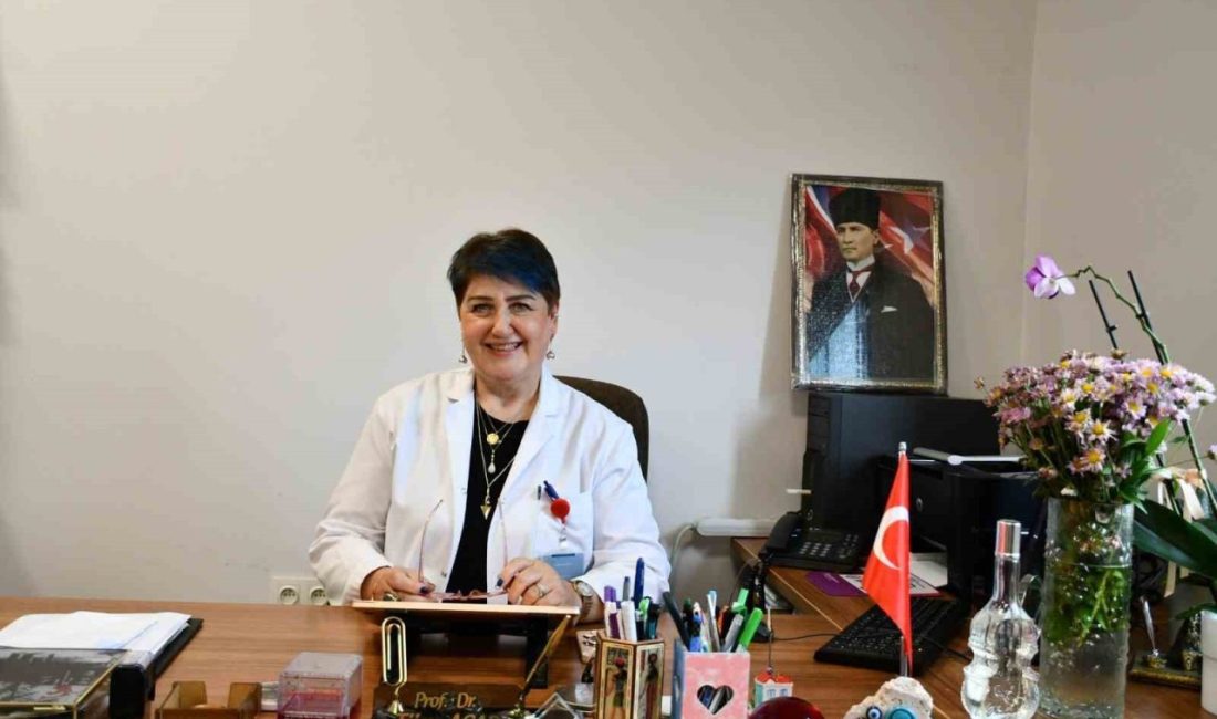 🔊 Haberi Sesli Dinle Hazır ▶ Dinle ⏸ Duraklat ⏹