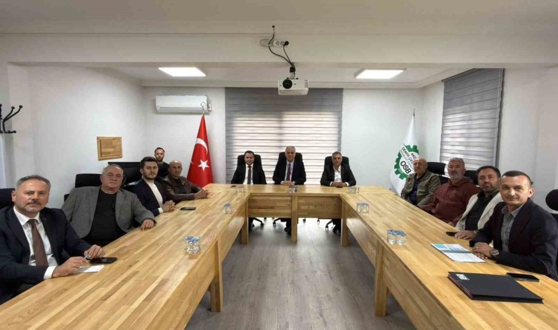 🔊 Haberi Sesli Dinle Hazır ▶ Dinle ⏸ Duraklat ⏹