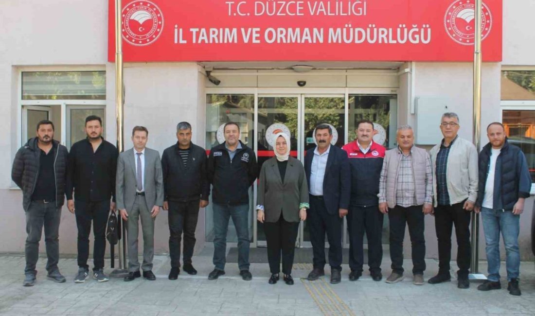 🔊 Haberi Sesli Dinle Hazır ▶ Dinle ⏸ Duraklat ⏹