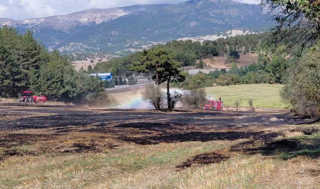 🔊 Haberi Sesli Dinle Hazır ▶ Dinle ⏸ Duraklat ⏹