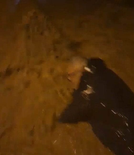 🔊 Haberi Sesli Dinle Hazır ▶ Dinle ⏸ Duraklat ⏹