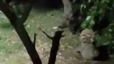 🔊 Haberi Sesli Dinle Hazır ▶ Dinle ⏸ Duraklat ⏹