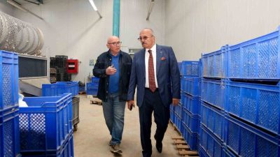 🔊 Haberi Sesli Dinle Hazır ▶ Dinle ⏸ Duraklat ⏹