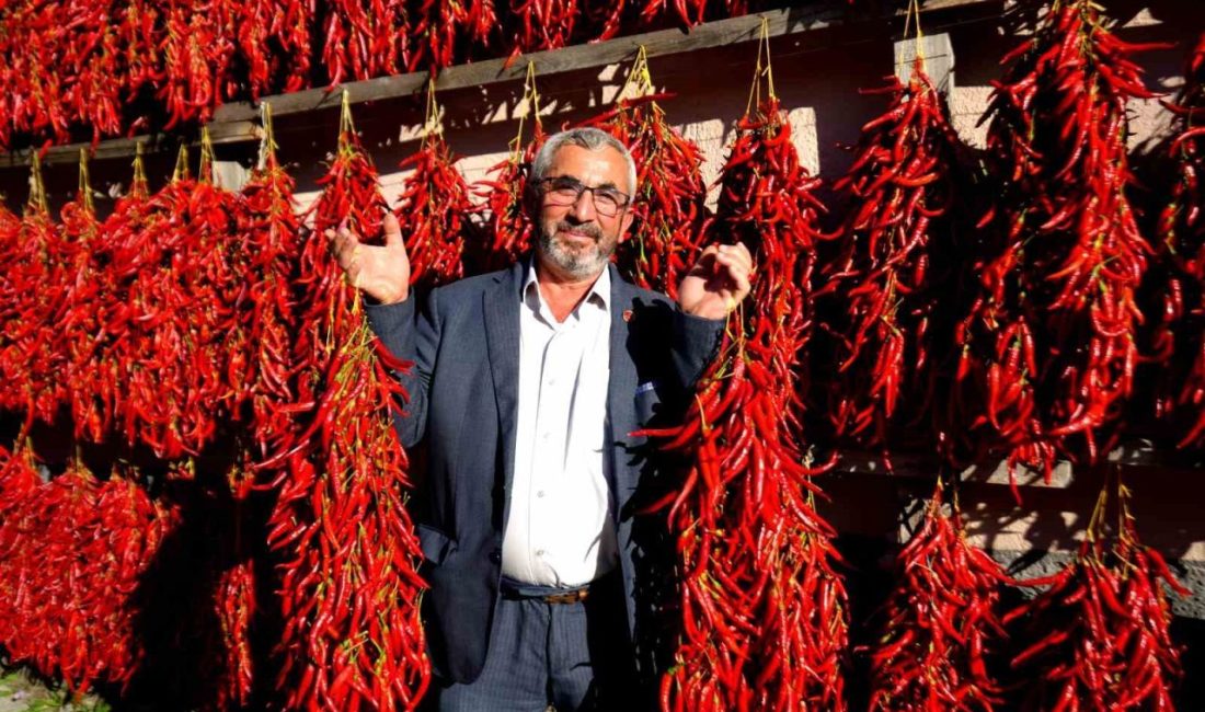 🔊 Haberi Sesli Dinle Hazır ▶ Dinle ⏸ Duraklat ⏹