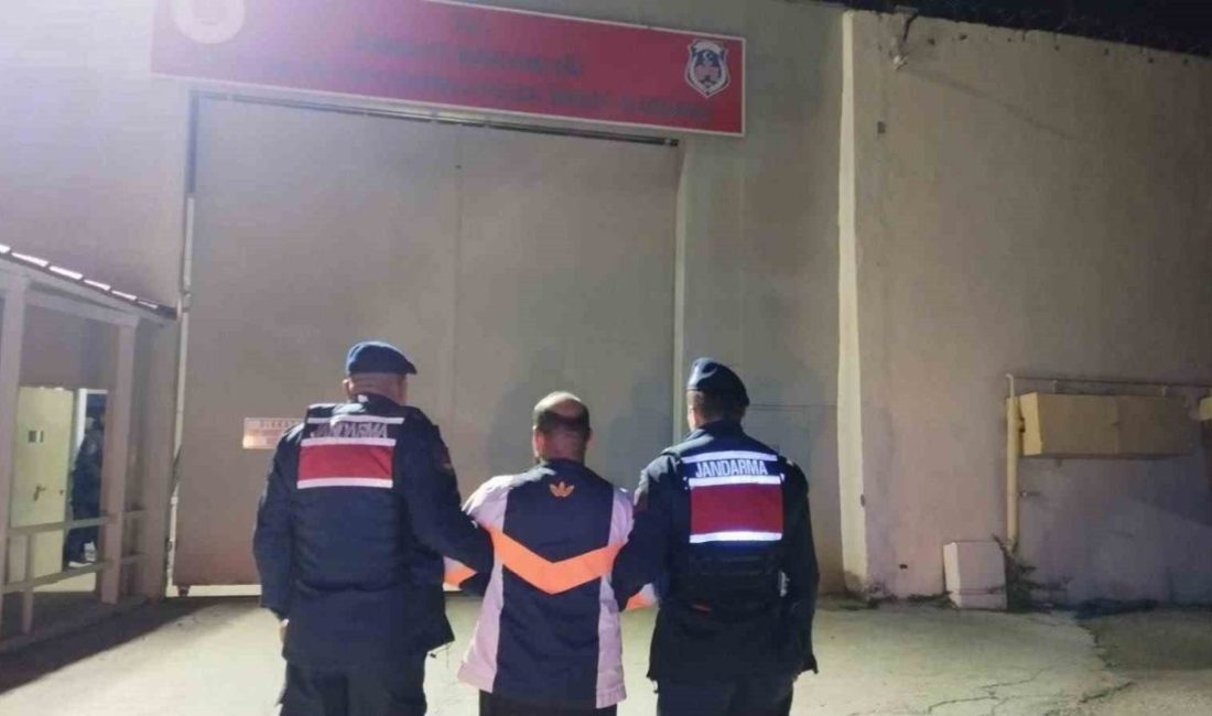 🔊 Haberi Sesli Dinle Hazır ▶ Dinle ⏸ Duraklat ⏹
