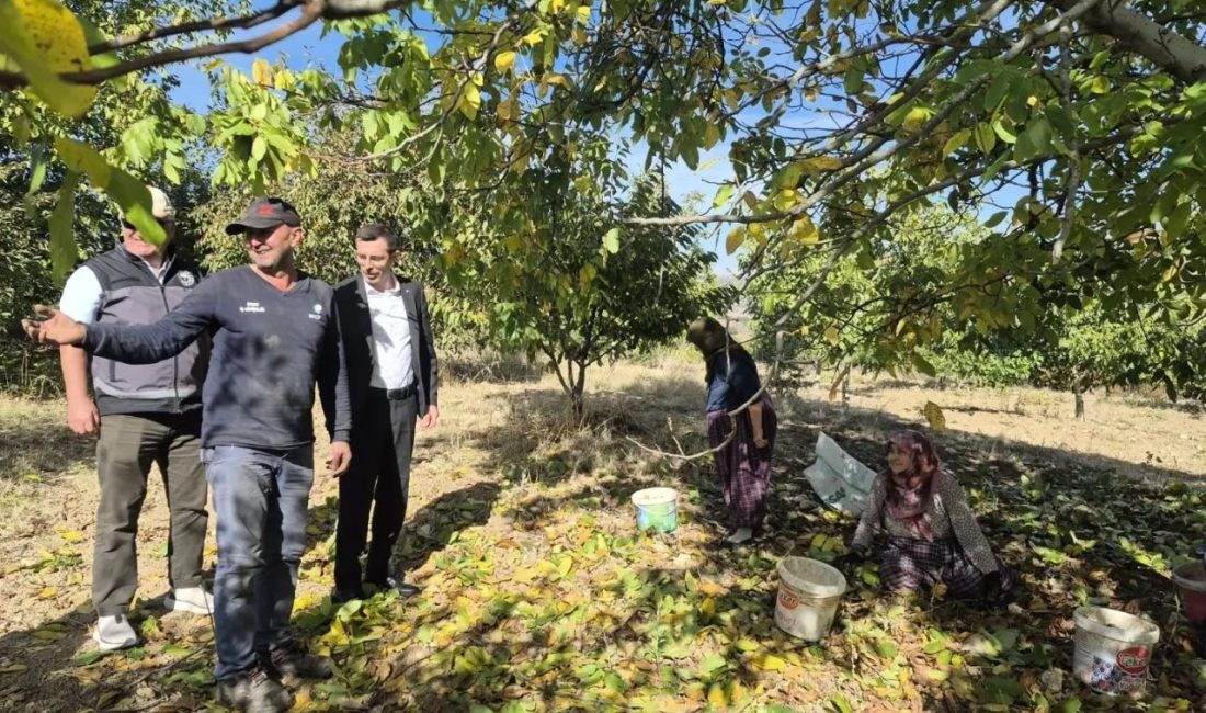 🔊 Haberi Sesli Dinle Hazır ▶ Dinle ⏸ Duraklat ⏹