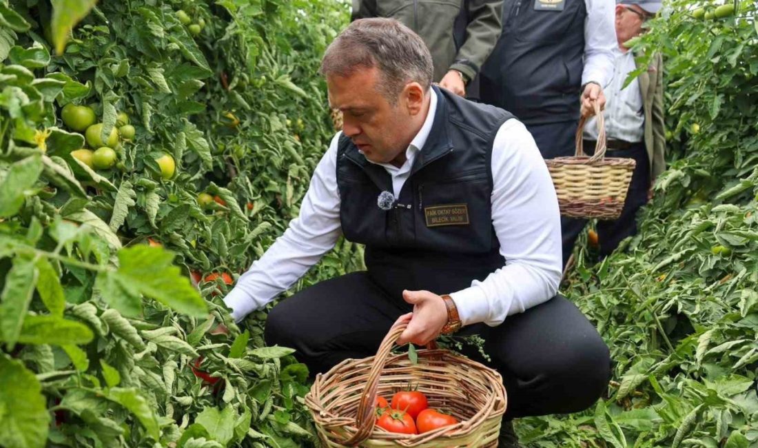 Bilecik’te domates hasadı başladı: 99 bin ton üretim hedefleniyor 🔊 Haberi Sesli Dinle Hazır ▶ Dinle ⏸ Duraklat ⏹
