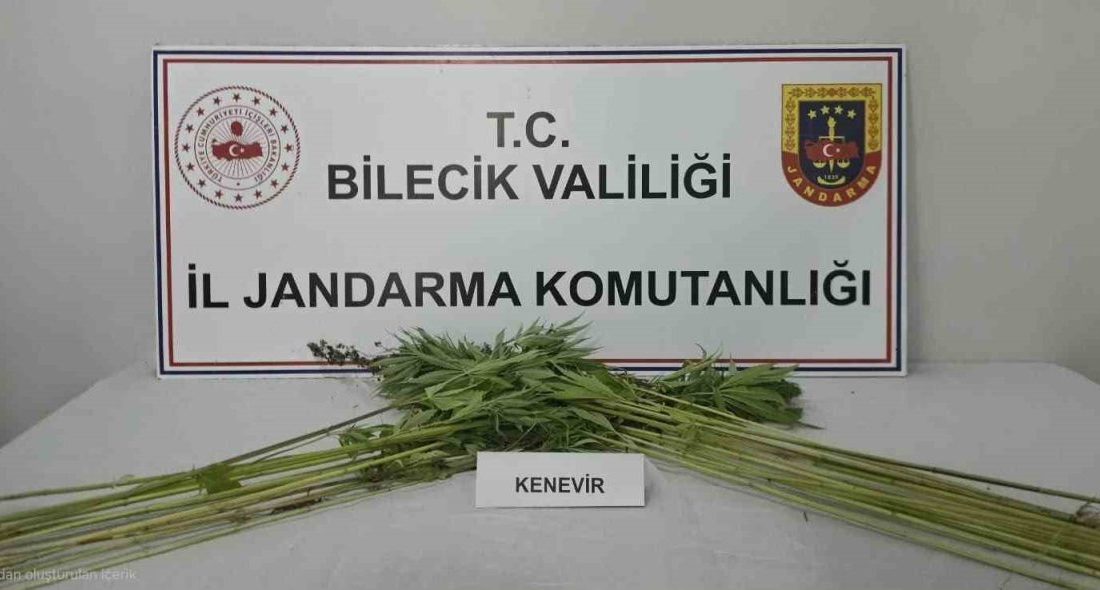 🔊 Haberi Sesli Dinle Hazır ▶ Dinle ⏸ Duraklat ⏹