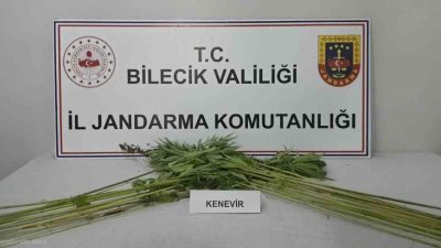 🔊 Haberi Sesli Dinle Hazır ▶ Dinle ⏸ Duraklat ⏹