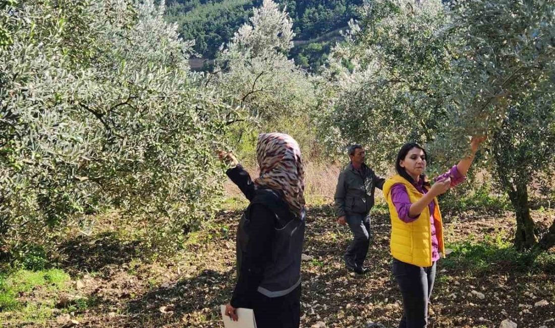 🔊 Haberi Sesli Dinle Hazır ▶ Dinle ⏸ Duraklat ⏹