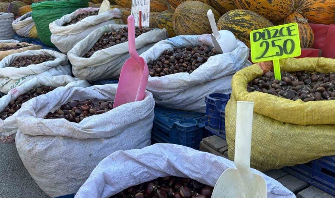 🔊 Haberi Sesli Dinle Hazır ▶ Dinle ⏸ Duraklat ⏹