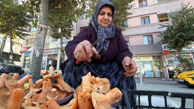 🔊 Haberi Sesli Dinle Hazır ▶ Dinle ⏸ Duraklat ⏹