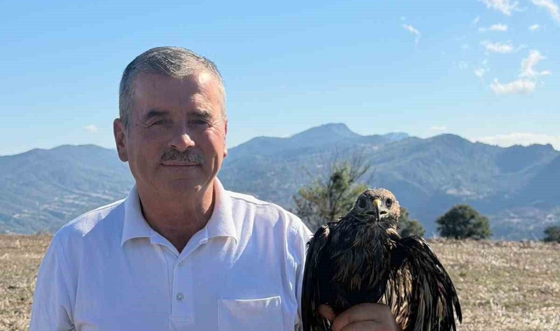 🔊 Haberi Sesli Dinle Hazır ▶ Dinle ⏸ Duraklat ⏹