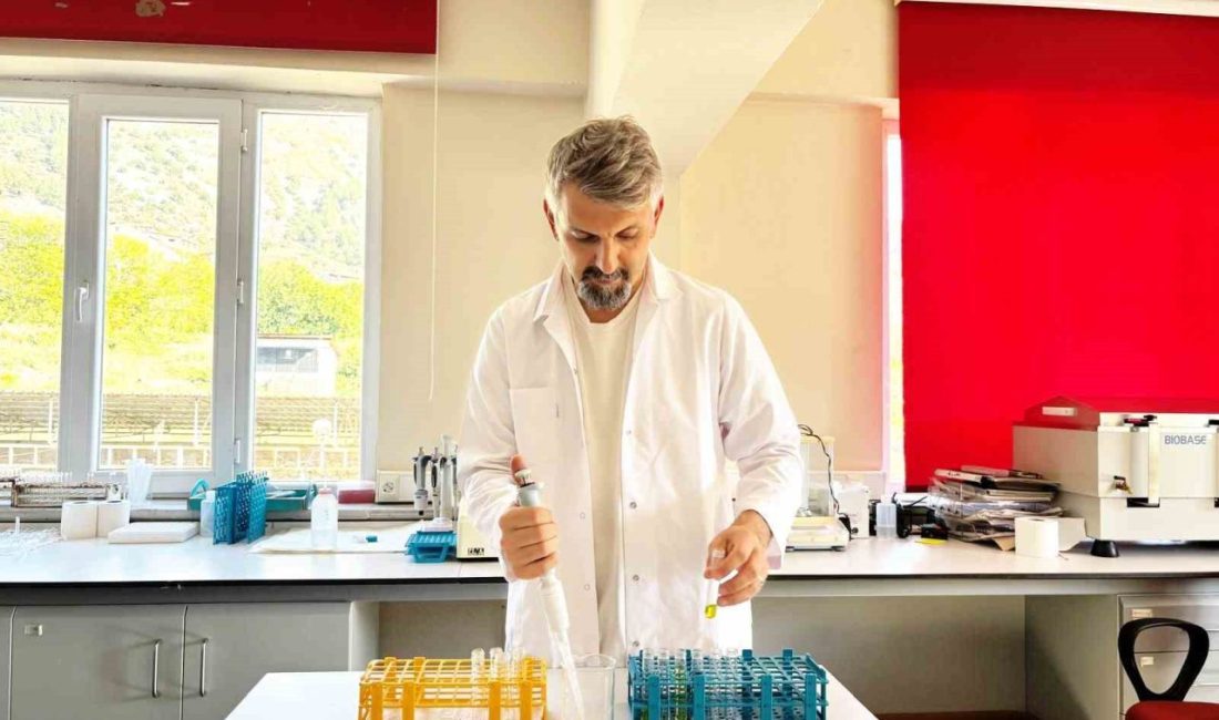 🔊 Haberi Sesli Dinle Hazır ▶ Dinle ⏸ Duraklat ⏹