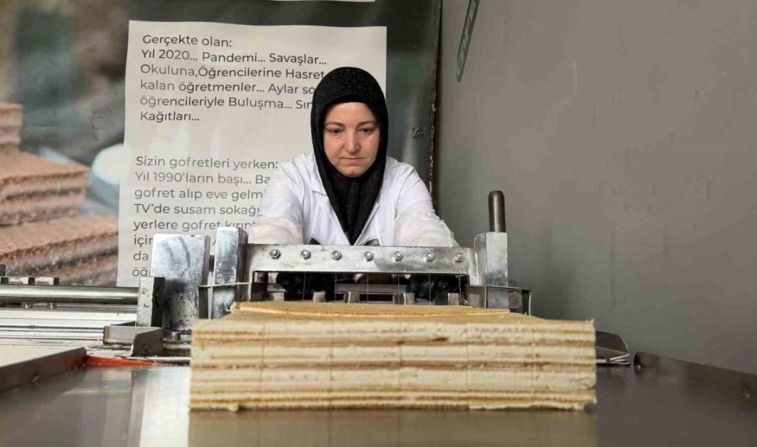 🔊 Haberi Sesli Dinle Hazır ▶ Dinle ⏸ Duraklat ⏹