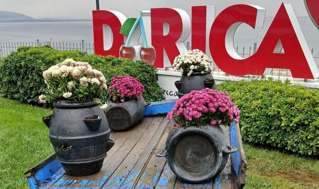Darıca’daki park ve şehitlikler mevsimlik çiçeklerle güzelleştiriliyor 🔊 Haberi Sesli Dinle Hazır ▶ Dinle ⏸ Duraklat ⏹