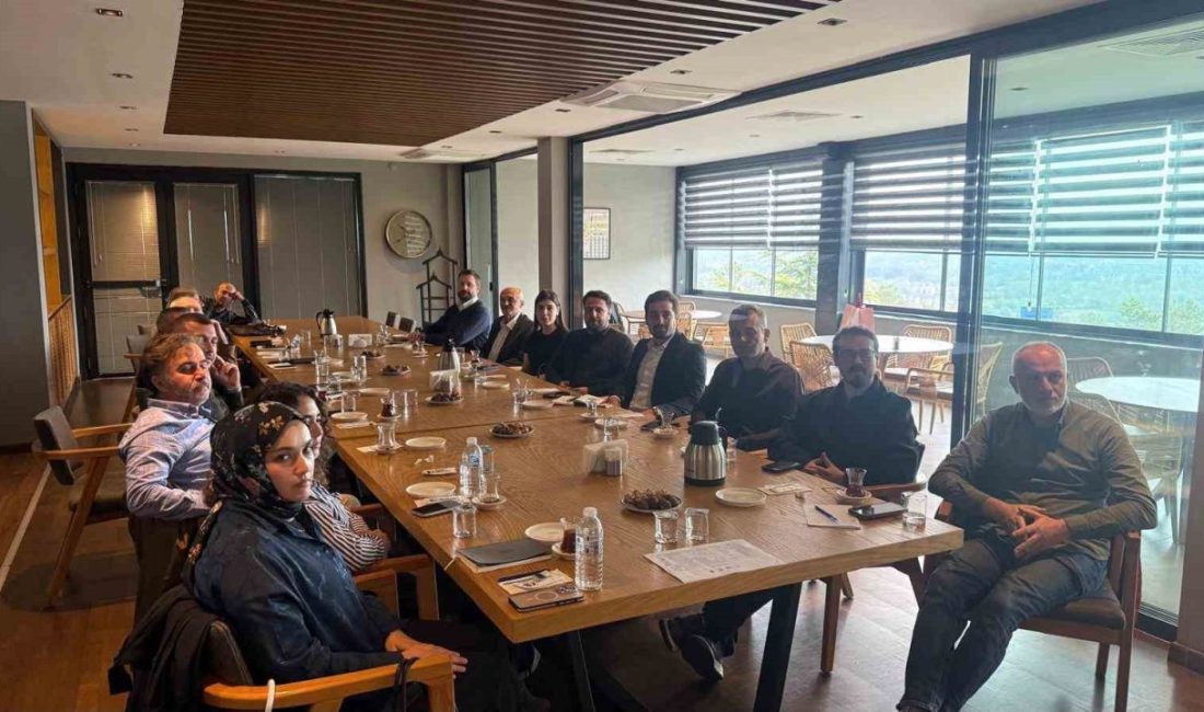 🔊 Haberi Sesli Dinle Hazır ▶ Dinle ⏸ Duraklat ⏹