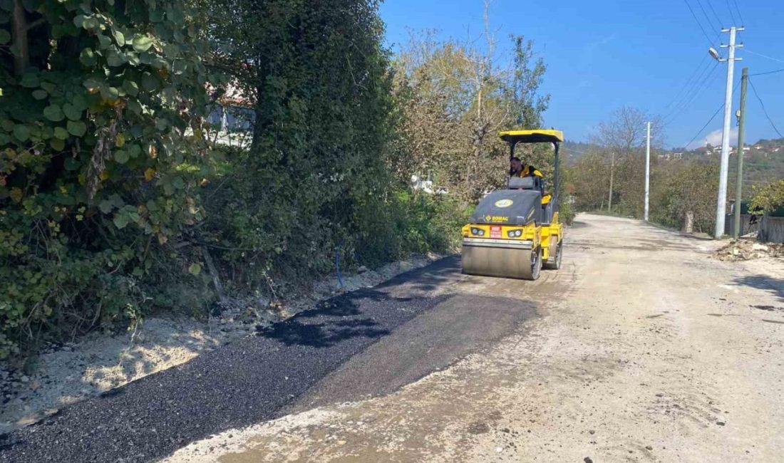 🔊 Haberi Sesli Dinle Hazır ▶ Dinle ⏸ Duraklat ⏹
