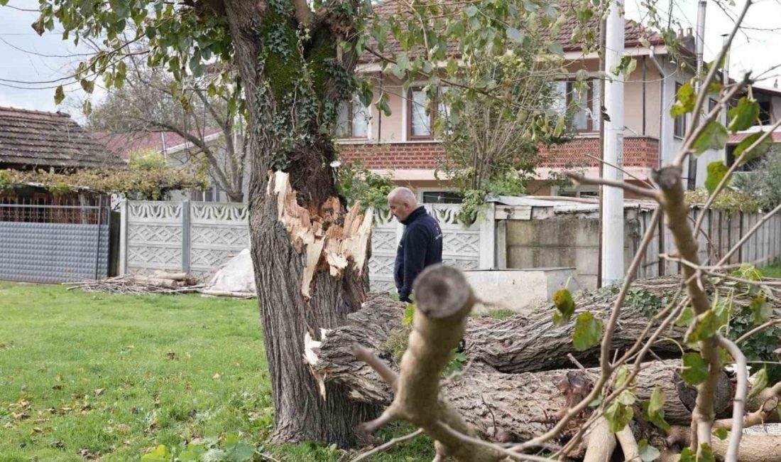 🔊 Haberi Sesli Dinle Hazır ▶ Dinle ⏸ Duraklat ⏹