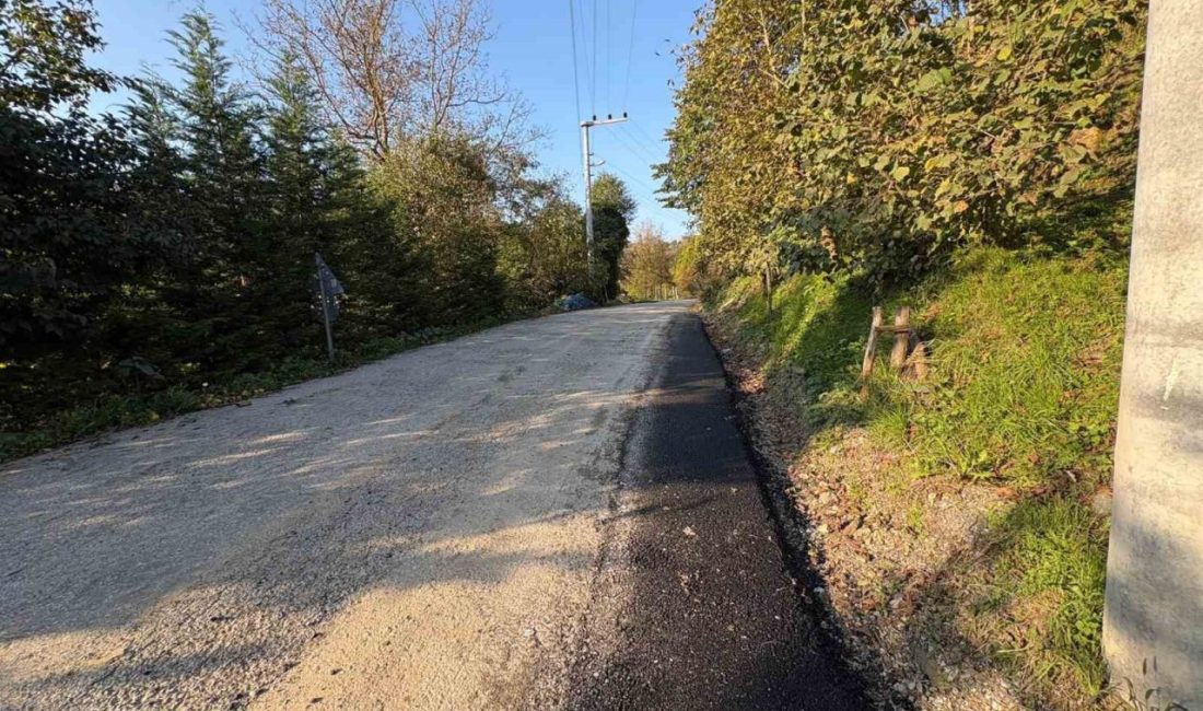 Düzce İl Özel İdaresi ekipleri, kış mevsimi öncesinde Merkez ilçeye