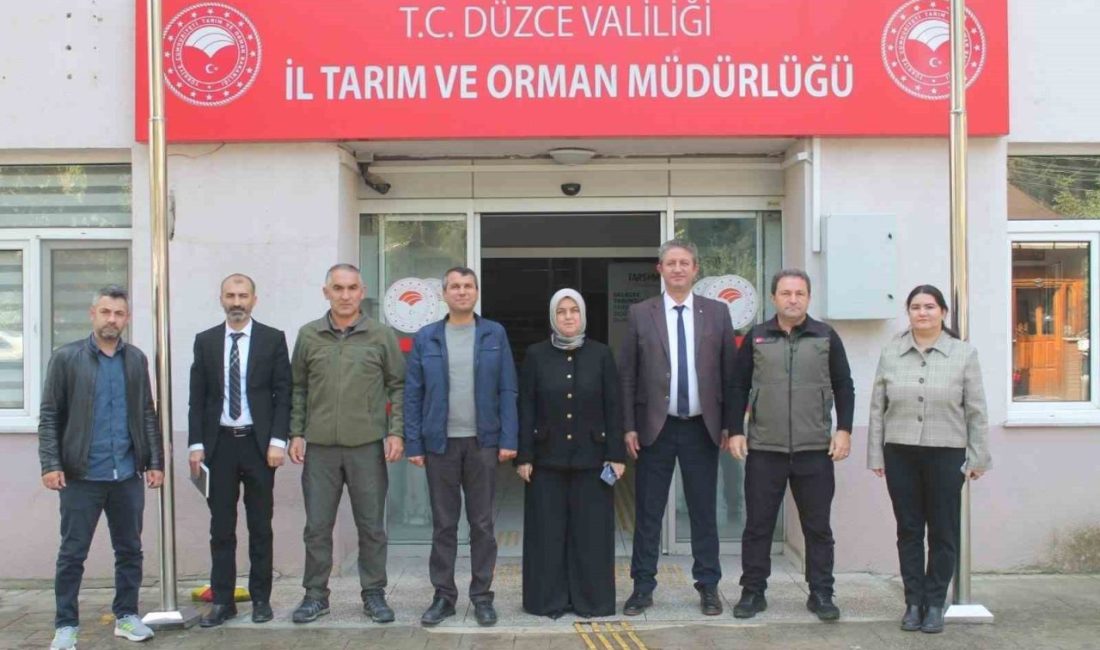 🔊 Haberi Sesli Dinle Hazır ▶ Dinle ⏸ Duraklat ⏹