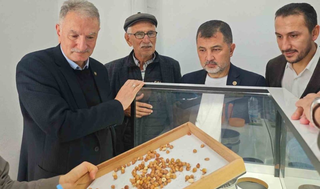 Düzce’de TMO’nun fındık alım süreci değerlendirildi 🔊 Haberi Sesli Dinle Hazır ▶ Dinle ⏸ Duraklat ⏹