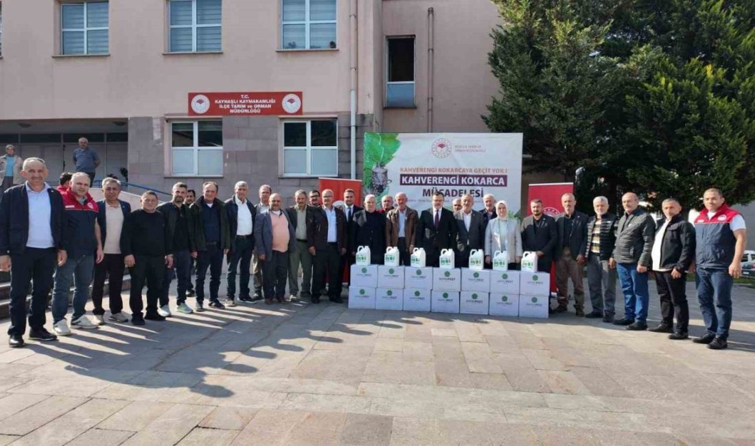 🔊 Haberi Sesli Dinle Hazır ▶ Dinle ⏸ Duraklat ⏹