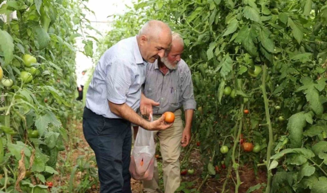 🔊 Haberi Sesli Dinle Hazır ▶ Dinle ⏸ Duraklat ⏹
