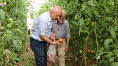 🔊 Haberi Sesli Dinle Hazır ▶ Dinle ⏸ Duraklat ⏹