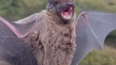 🔊 Haberi Sesli Dinle Hazır ▶ Dinle ⏸ Duraklat ⏹