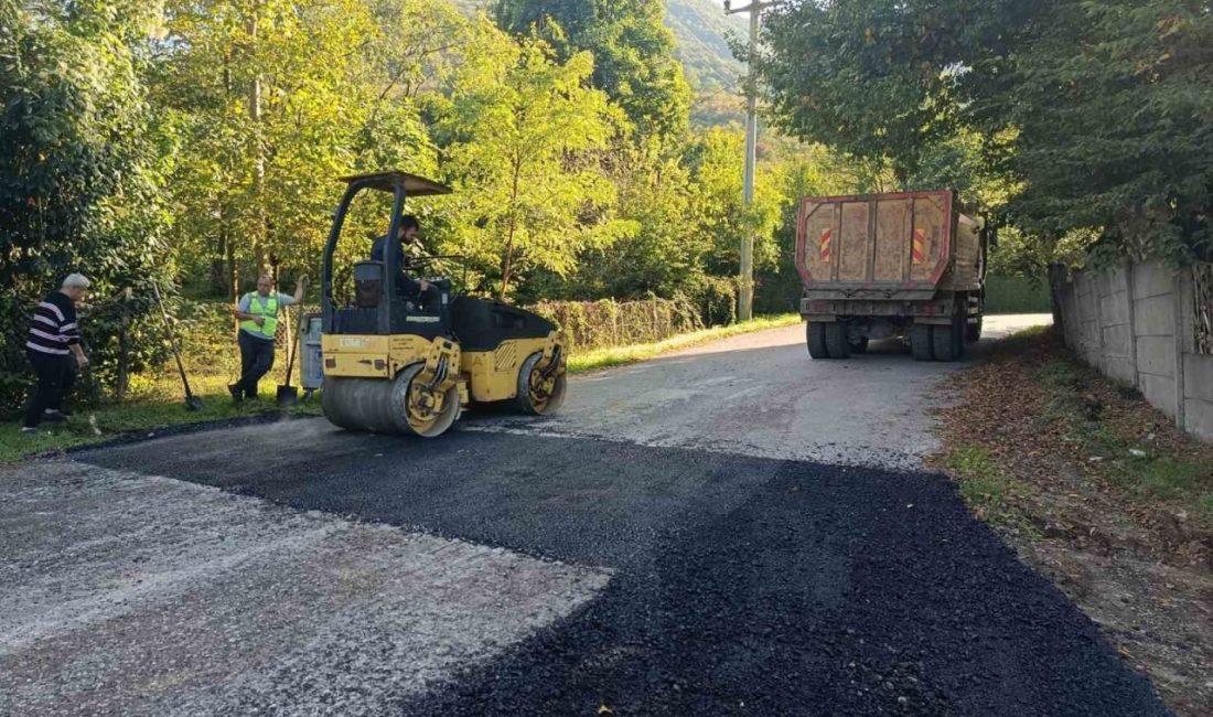 🔊 Haberi Sesli Dinle Hazır ▶ Dinle ⏸ Duraklat ⏹