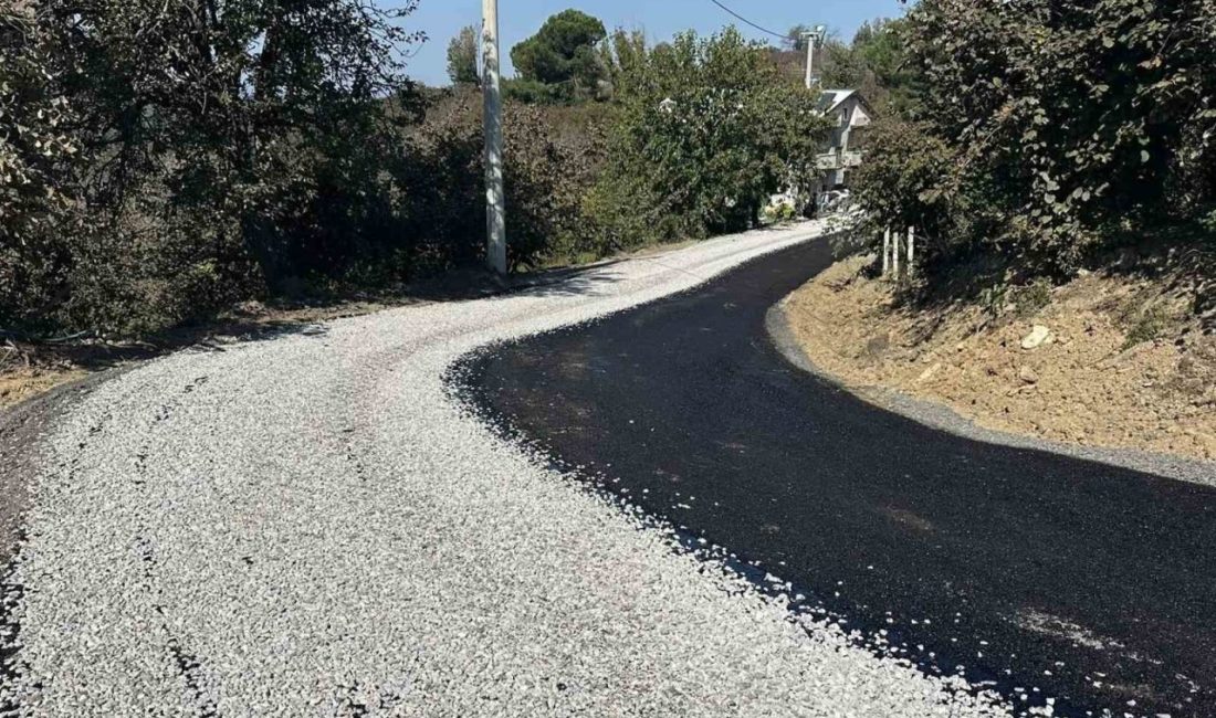 🔊 Haberi Sesli Dinle Hazır ▶ Dinle ⏸ Duraklat ⏹
