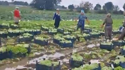 🔊 Haberi Sesli Dinle Hazır ▶ Dinle ⏸ Duraklat ⏹
