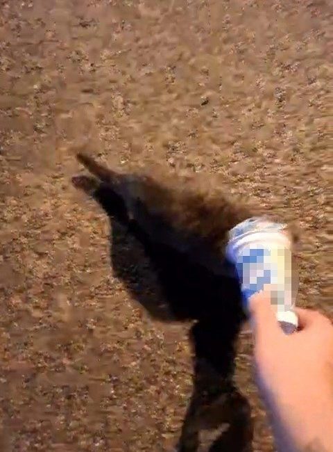 🔊 Haberi Sesli Dinle Hazır ▶ Dinle ⏸ Duraklat ⏹