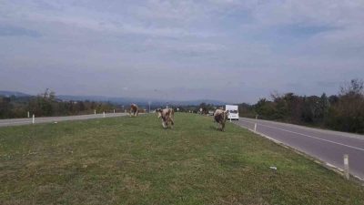 🔊 Haberi Sesli Dinle Hazır ▶ Dinle ⏸ Duraklat ⏹