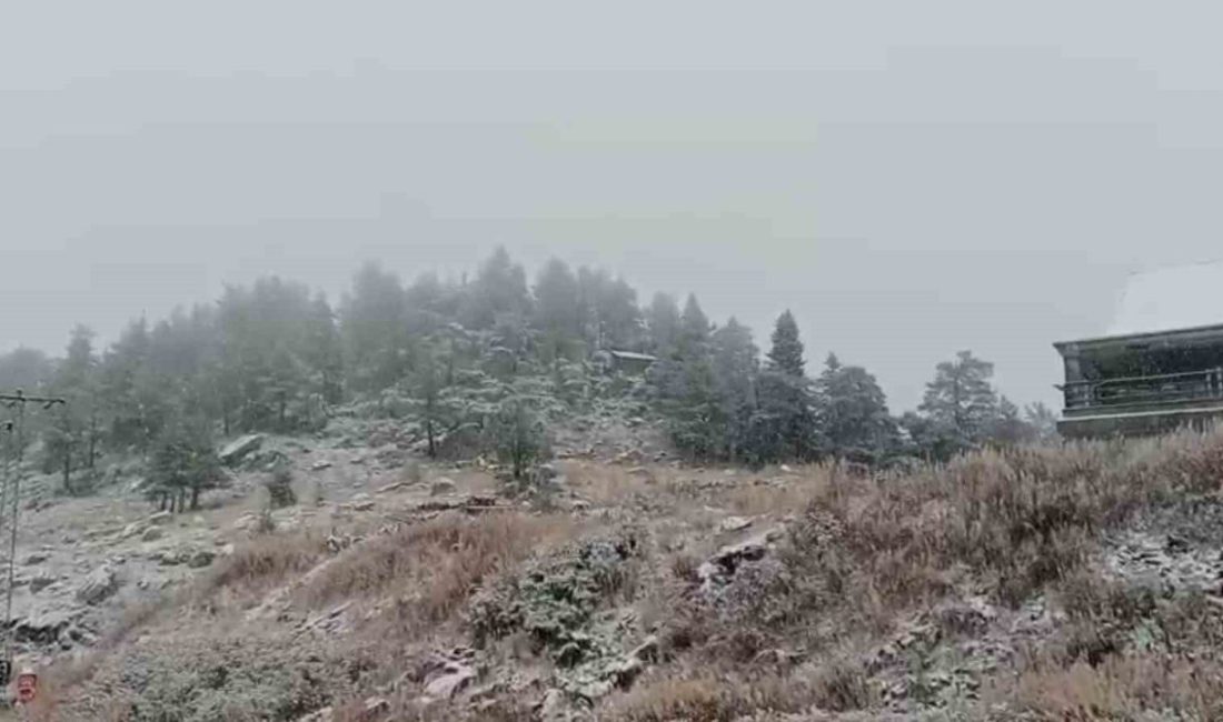 🔊 Haberi Sesli Dinle Hazır ▶ Dinle ⏸ Duraklat ⏹