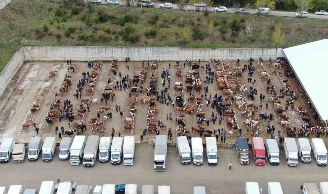 🔊 Haberi Sesli Dinle Hazır ▶ Dinle ⏸ Duraklat ⏹