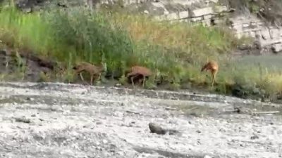 🔊 Haberi Sesli Dinle Hazır ▶ Dinle ⏸ Duraklat ⏹