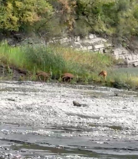 🔊 Haberi Sesli Dinle Hazır ▶ Dinle ⏸ Duraklat ⏹