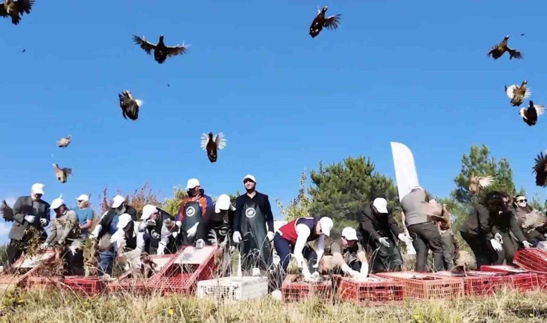 🔊 Haberi Sesli Dinle Hazır ▶ Dinle ⏸ Duraklat ⏹