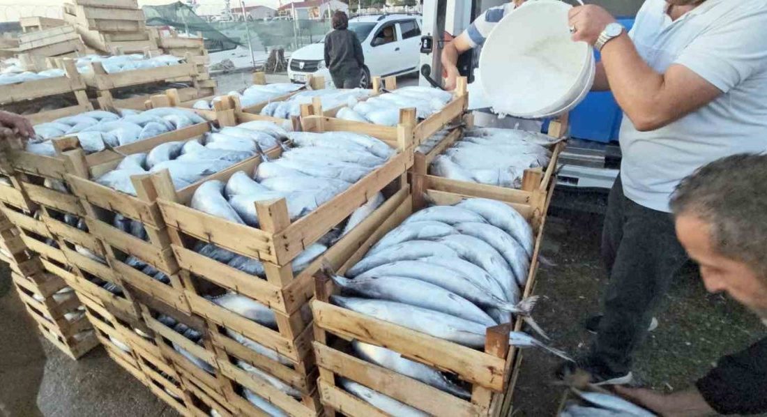 🔊 Haberi Sesli Dinle Hazır ▶ Dinle ⏸ Duraklat ⏹