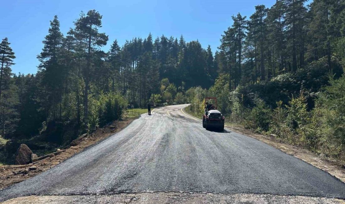 Düzce İl Özel İdaresi ekipleri, Kaynaşlı ilçesindeki Bıçkıyanı Köyü ile