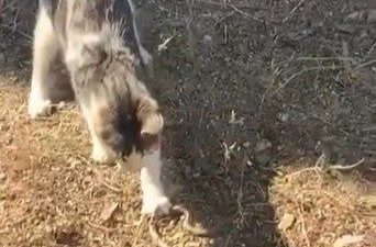 🔊 Haberi Sesli Dinle Hazır ▶ Dinle ⏸ Duraklat ⏹