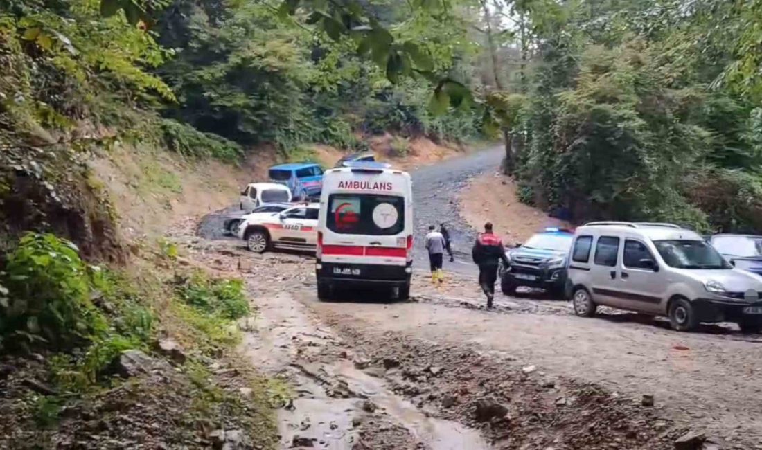 🔊 Haberi Sesli Dinle Hazır ▶ Dinle ⏸ Duraklat ⏹