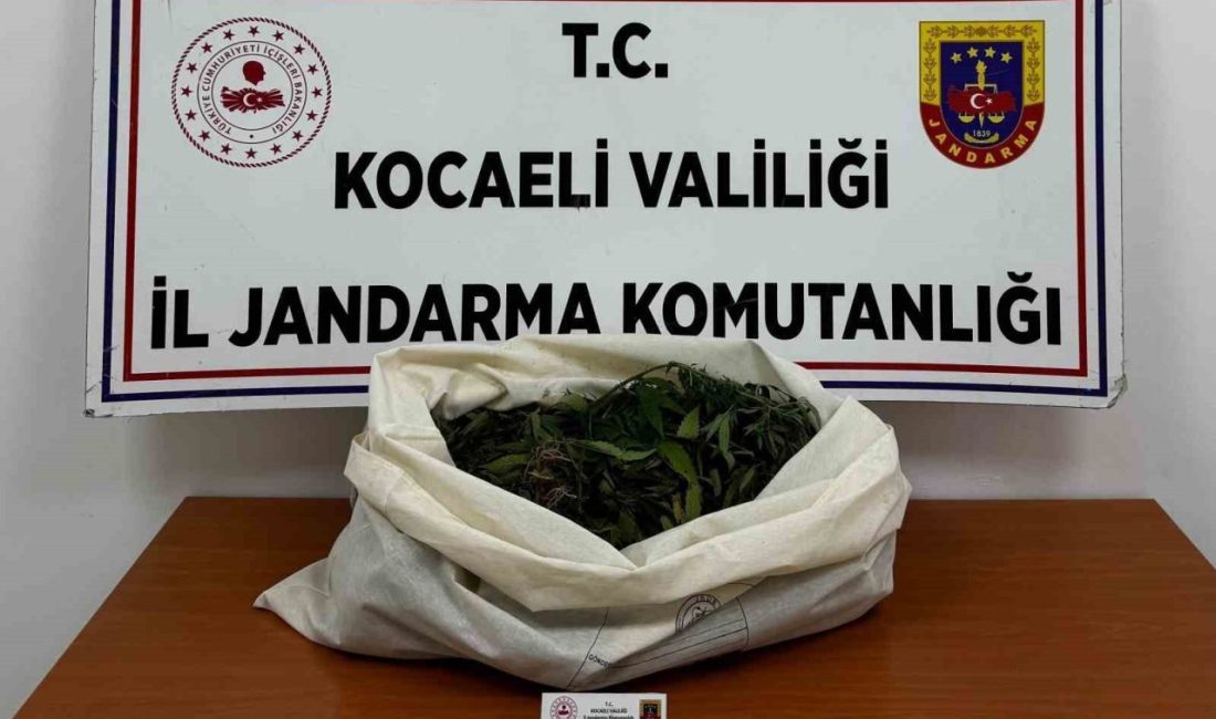 Kocaeli’de jandarma ekiplerinin 4 ilçede gerçekleştirdiği operasyonlarda 3 kilo 356