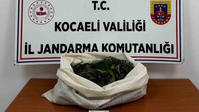 🔊 Haberi Sesli Dinle Hazır ▶ Dinle ⏸ Duraklat ⏹