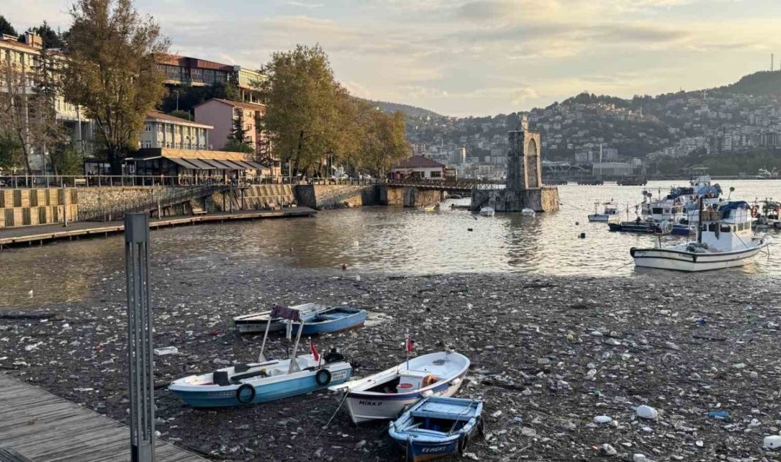 🔊 Haberi Sesli Dinle Hazır ▶ Dinle ⏸ Duraklat ⏹