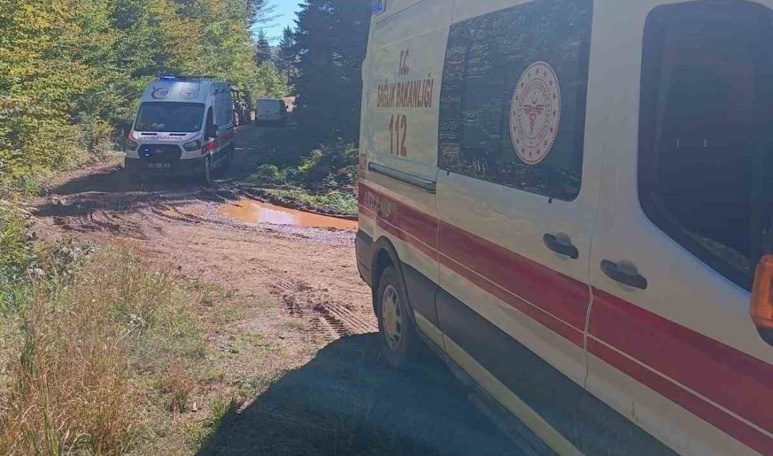 🔊 Haberi Sesli Dinle Hazır ▶ Dinle ⏸ Duraklat ⏹