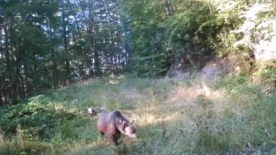 🔊 Haberi Sesli Dinle Hazır ▶ Dinle ⏸ Duraklat ⏹